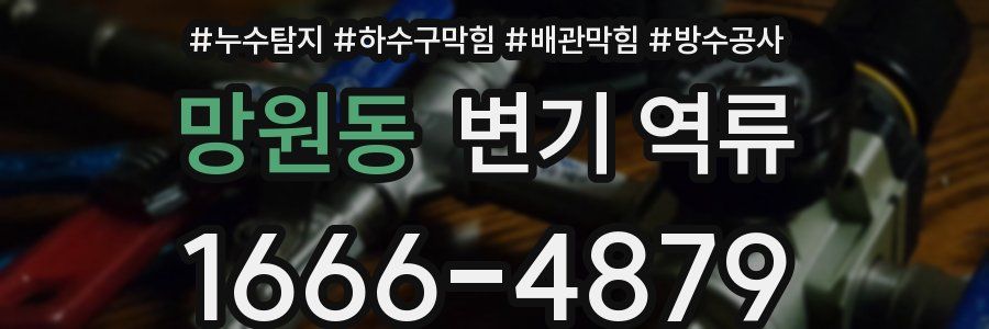 망원동 변기 역류