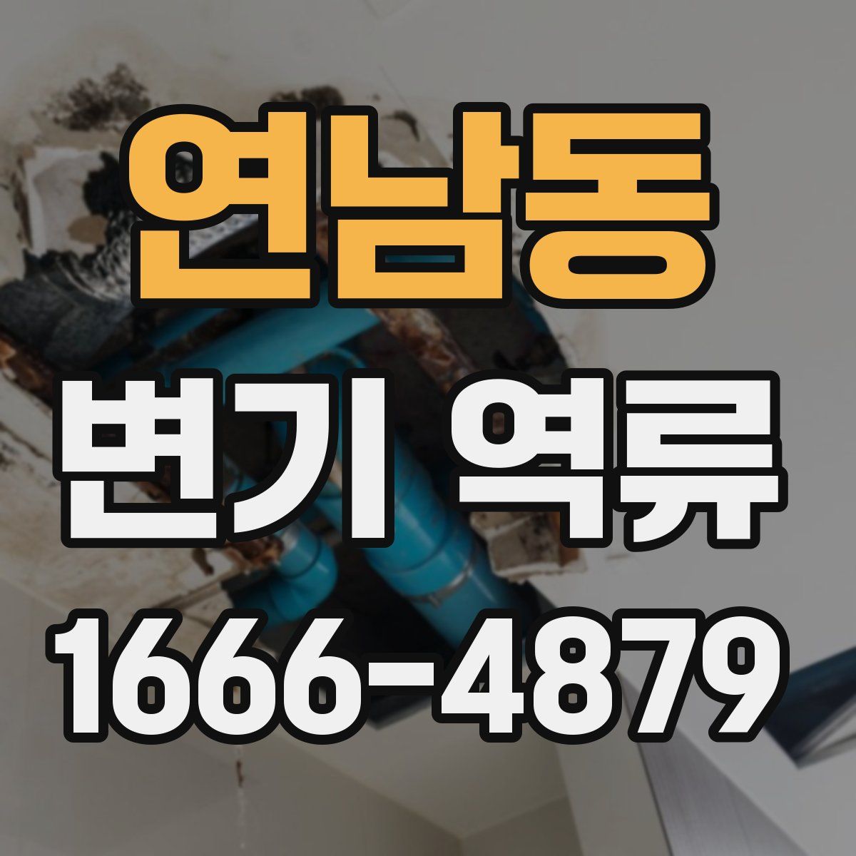연남동 변기 역류