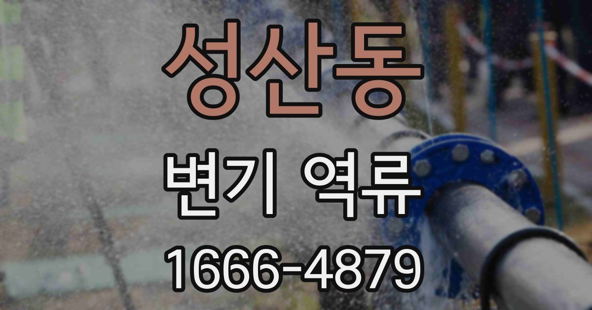 성산동 변기 역류