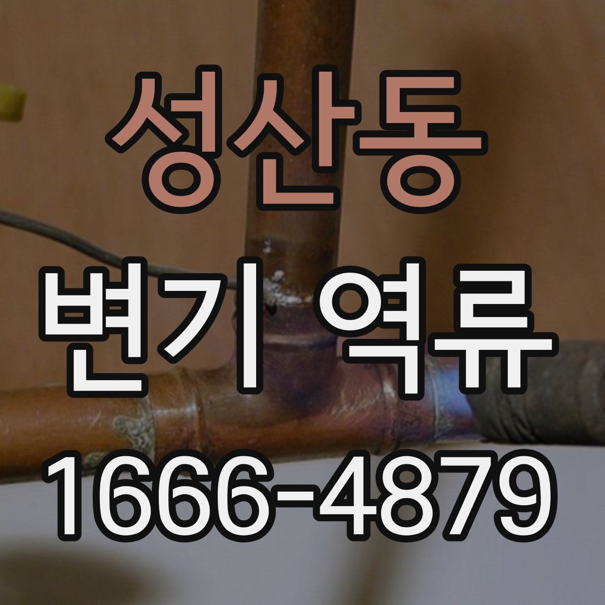 성산동 변기 역류