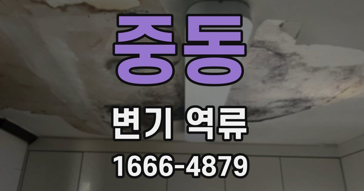 중동 변기 역류