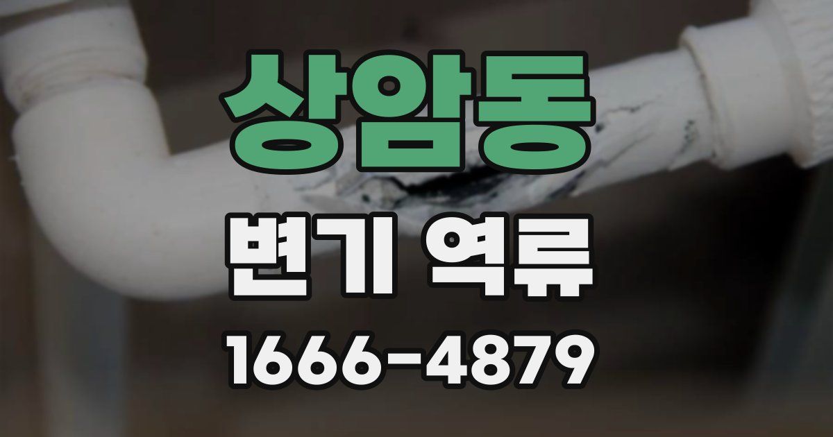 상암동 변기 역류