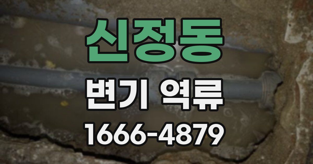 신정동 변기 역류