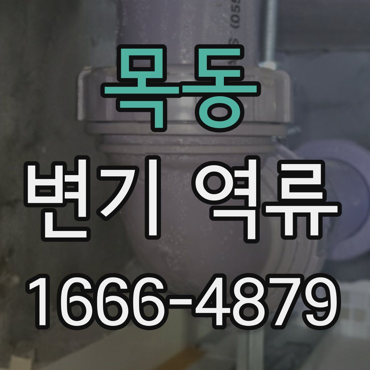 목동 변기 역류