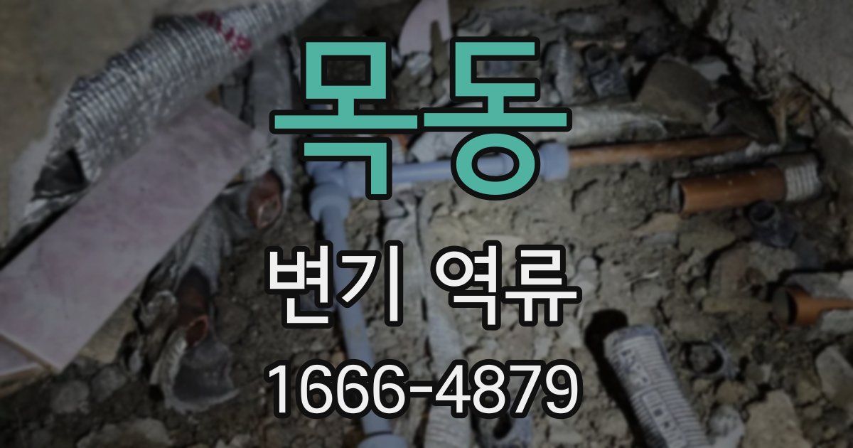 목동 변기 역류
