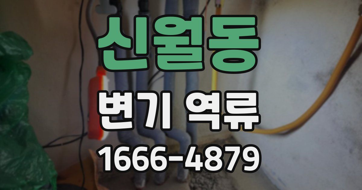 신월동 변기 역류
