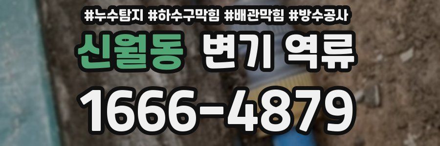 신월동 변기 역류