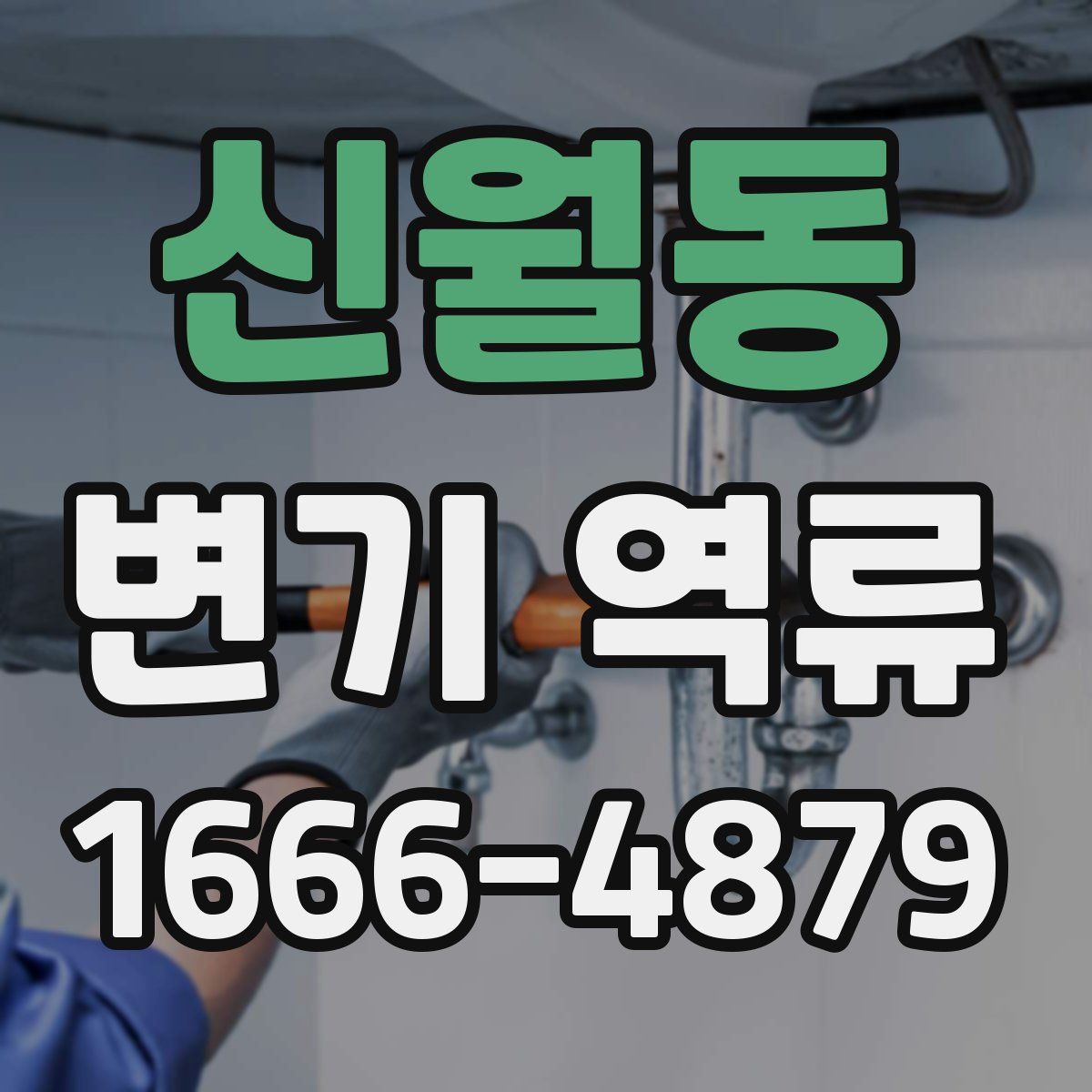 신월동 변기 역류