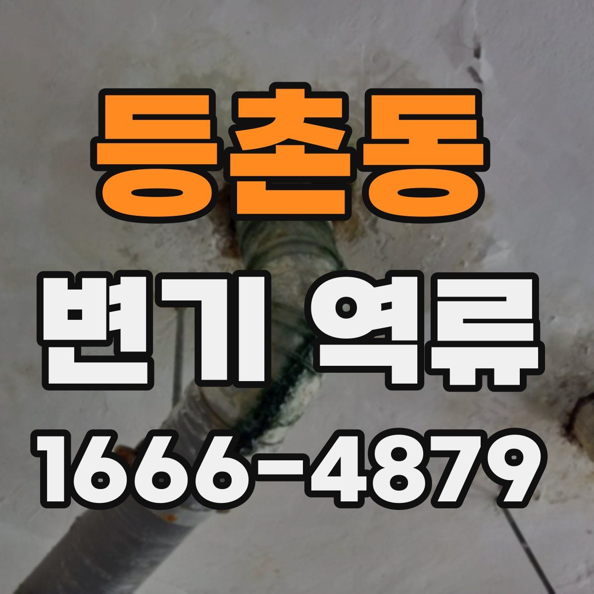 등촌동 변기 역류