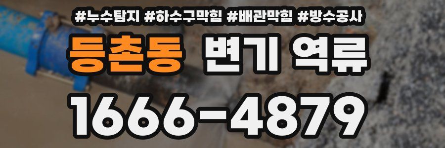 등촌동 변기 역류