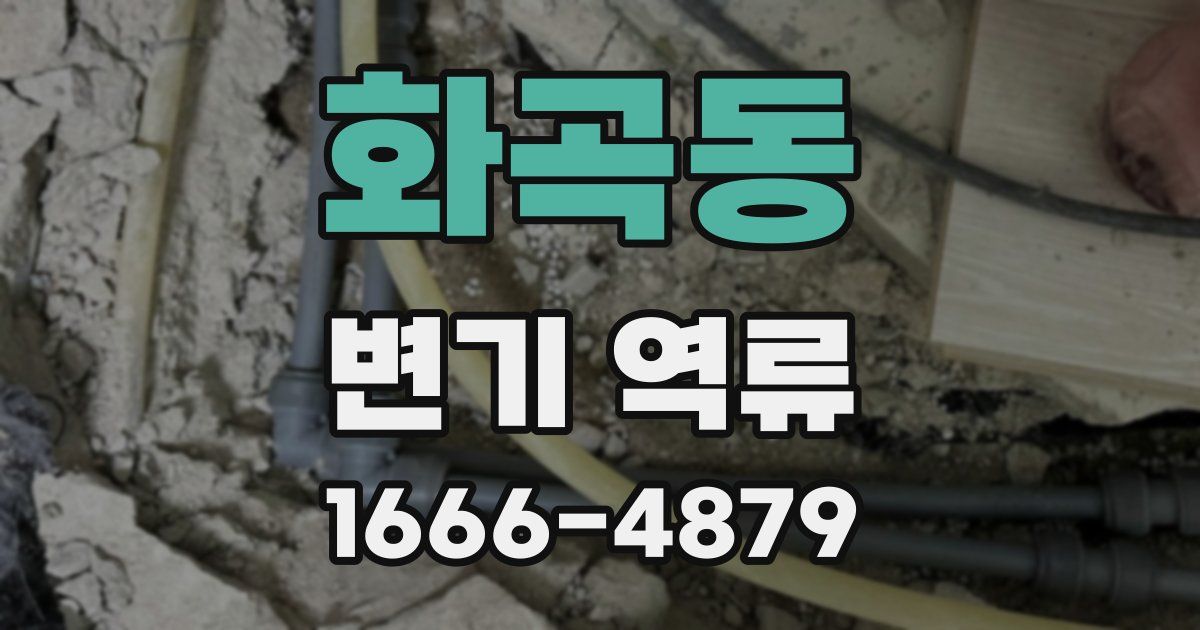 화곡동 변기 역류