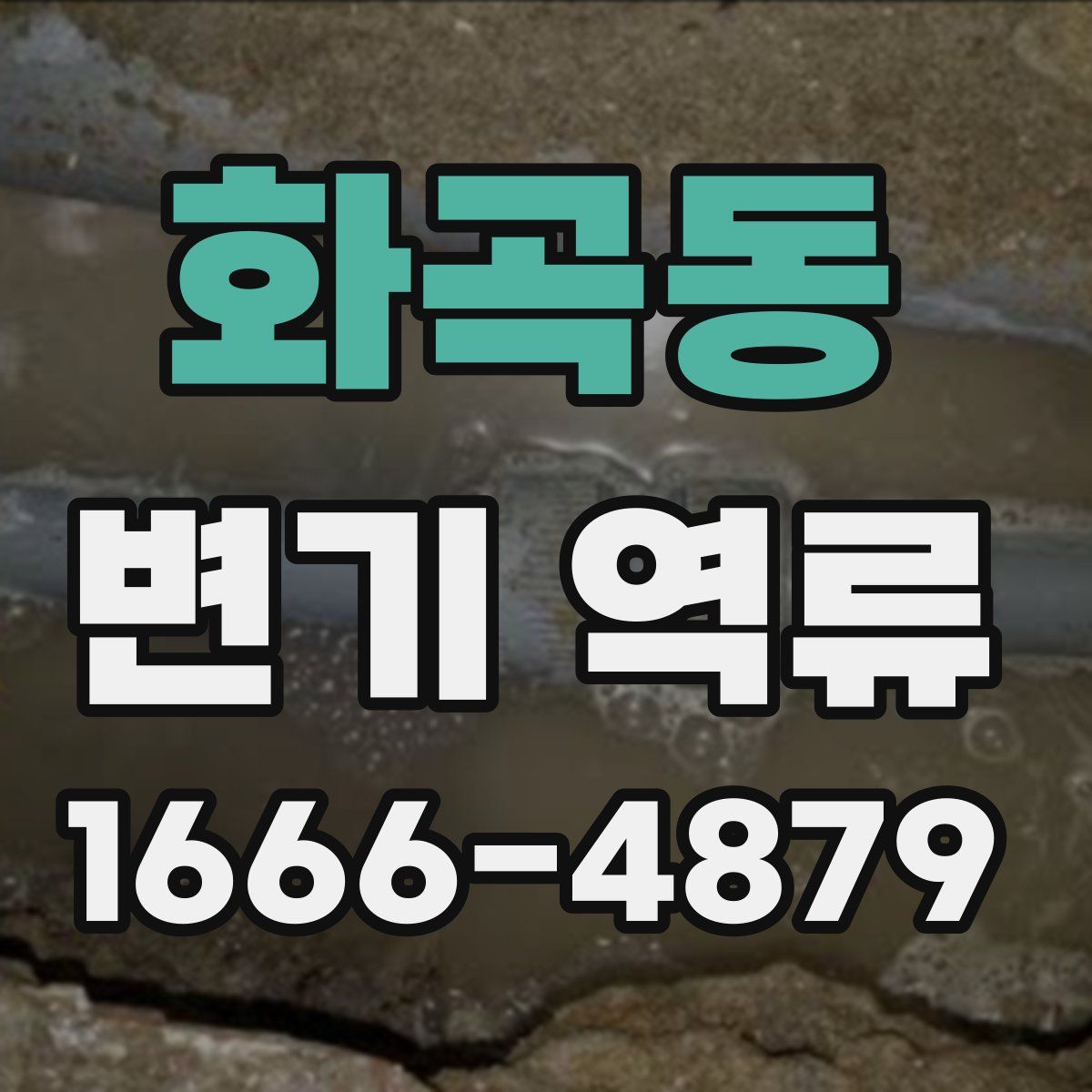 화곡동 변기 역류
