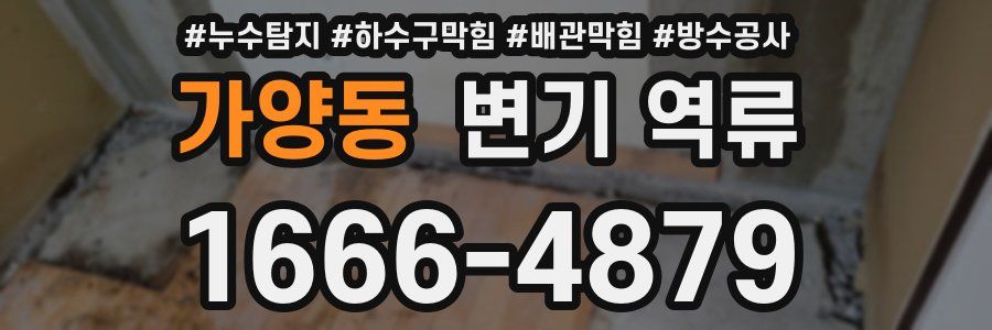 가양동 변기 역류