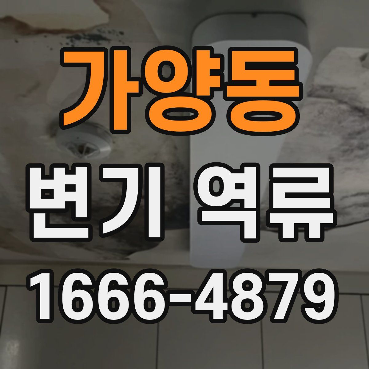 가양동 변기 역류
