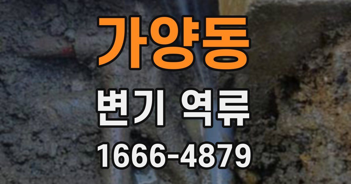 가양동 변기 역류