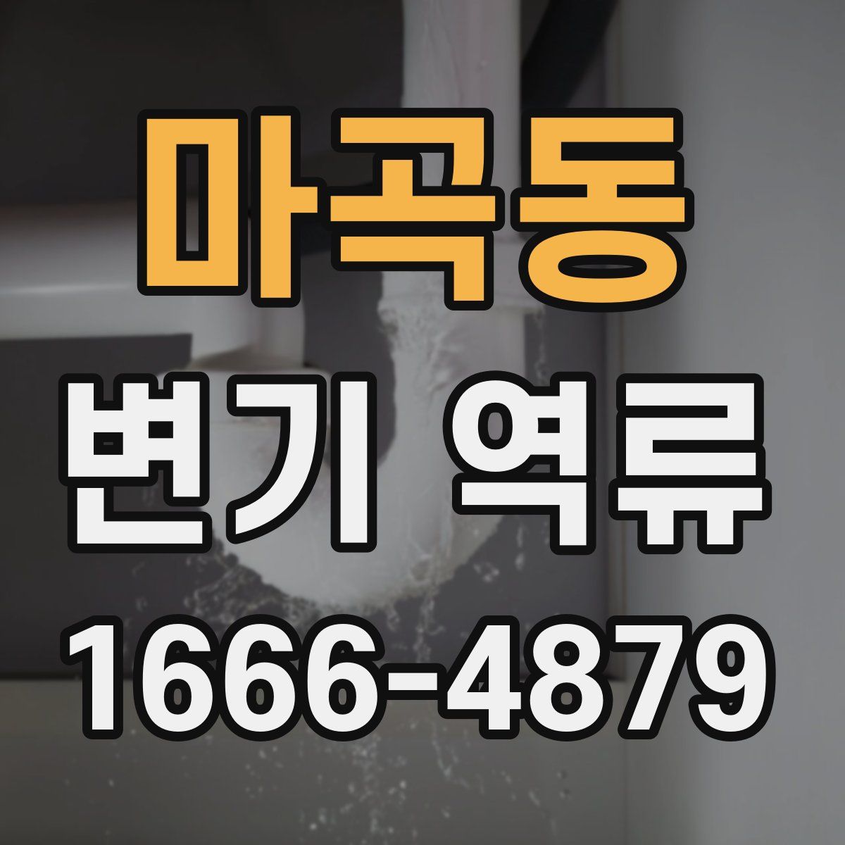 마곡동 변기 역류