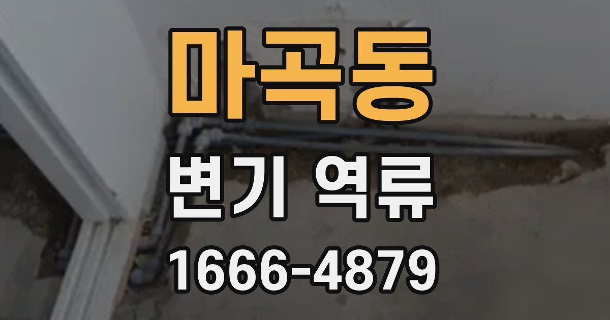 마곡동 변기 역류