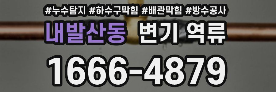 내발산동 변기 역류