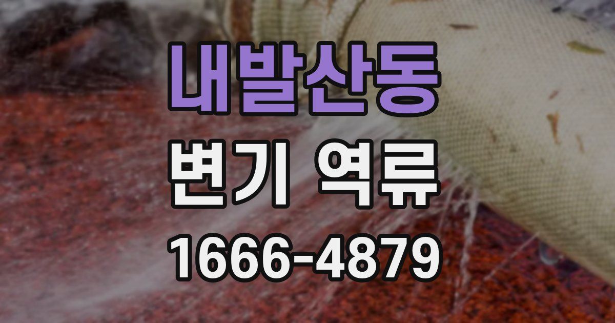 내발산동 변기 역류