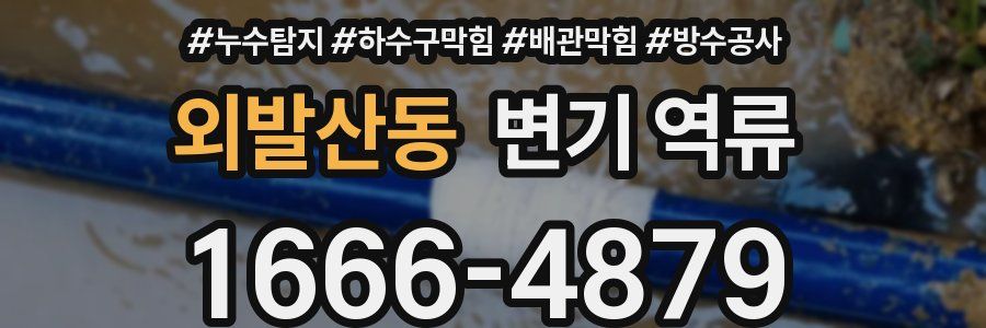 외발산동 변기 역류
