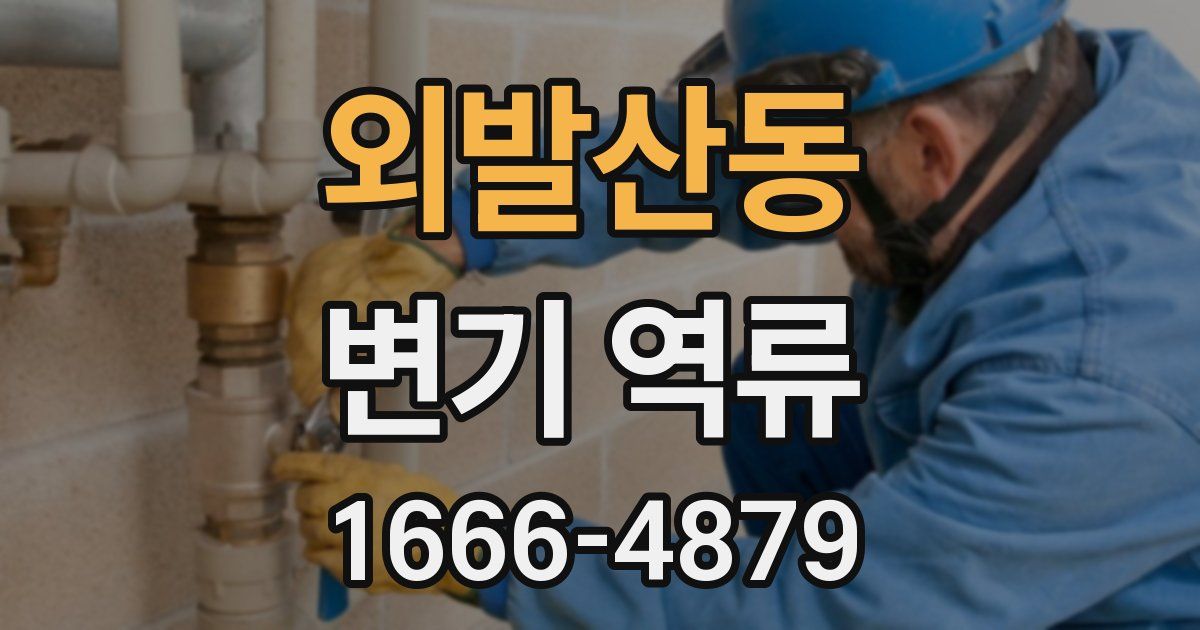 외발산동 변기 역류