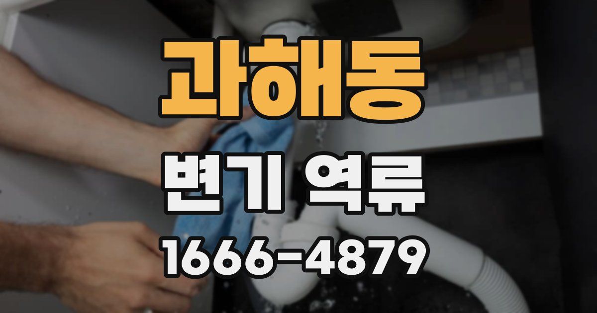 과해동 변기 역류