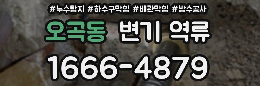 오곡동 변기 역류