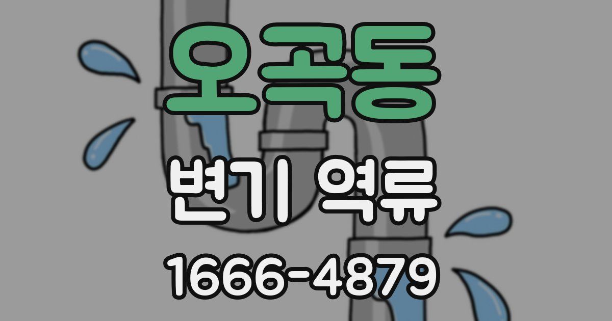 오곡동 변기 역류