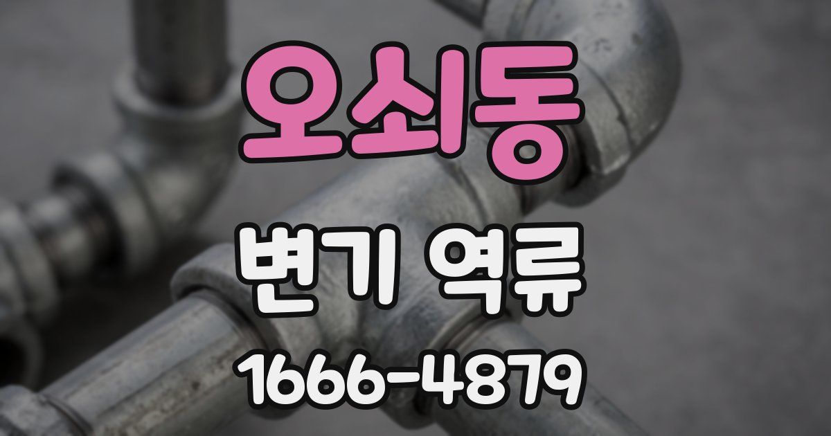 오쇠동 변기 역류