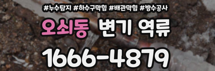 오쇠동 변기 역류