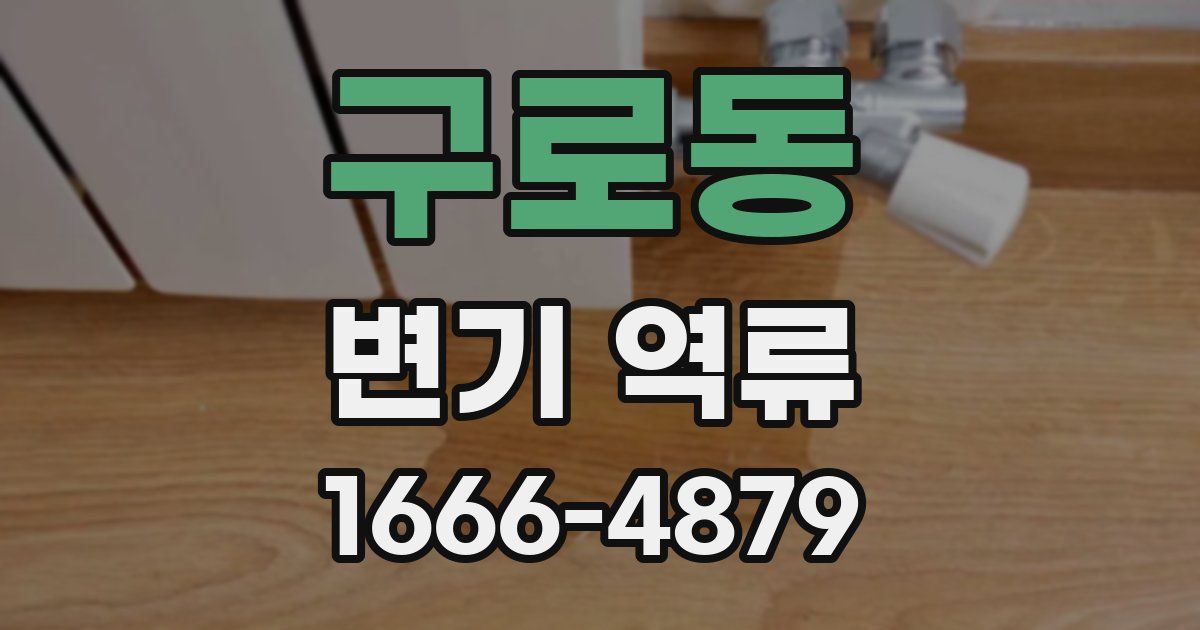 구로동 변기 역류