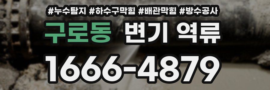 구로동 변기 역류