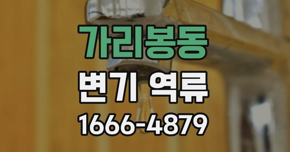 가리봉동 변기 역류