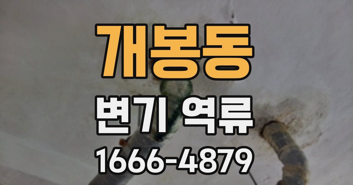 개봉동 변기 역류