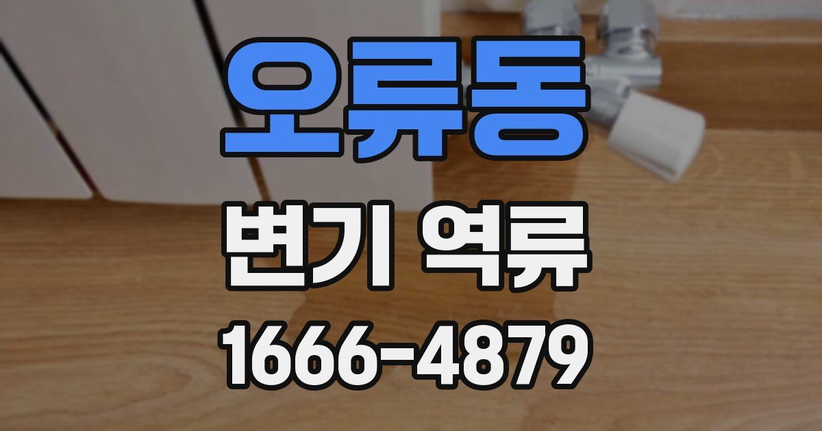 오류동 변기 역류