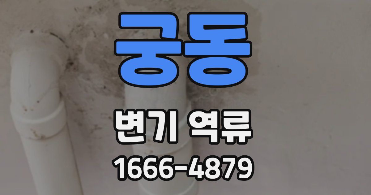 궁동 변기 역류