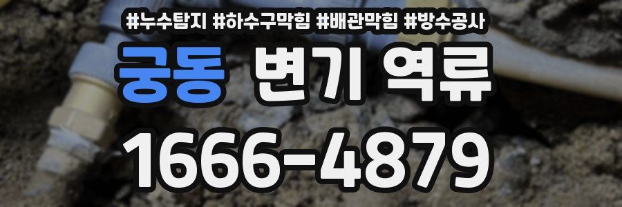 궁동 변기 역류