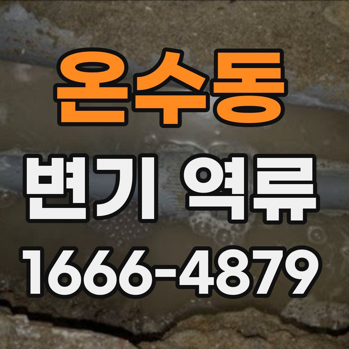 온수동 변기 역류