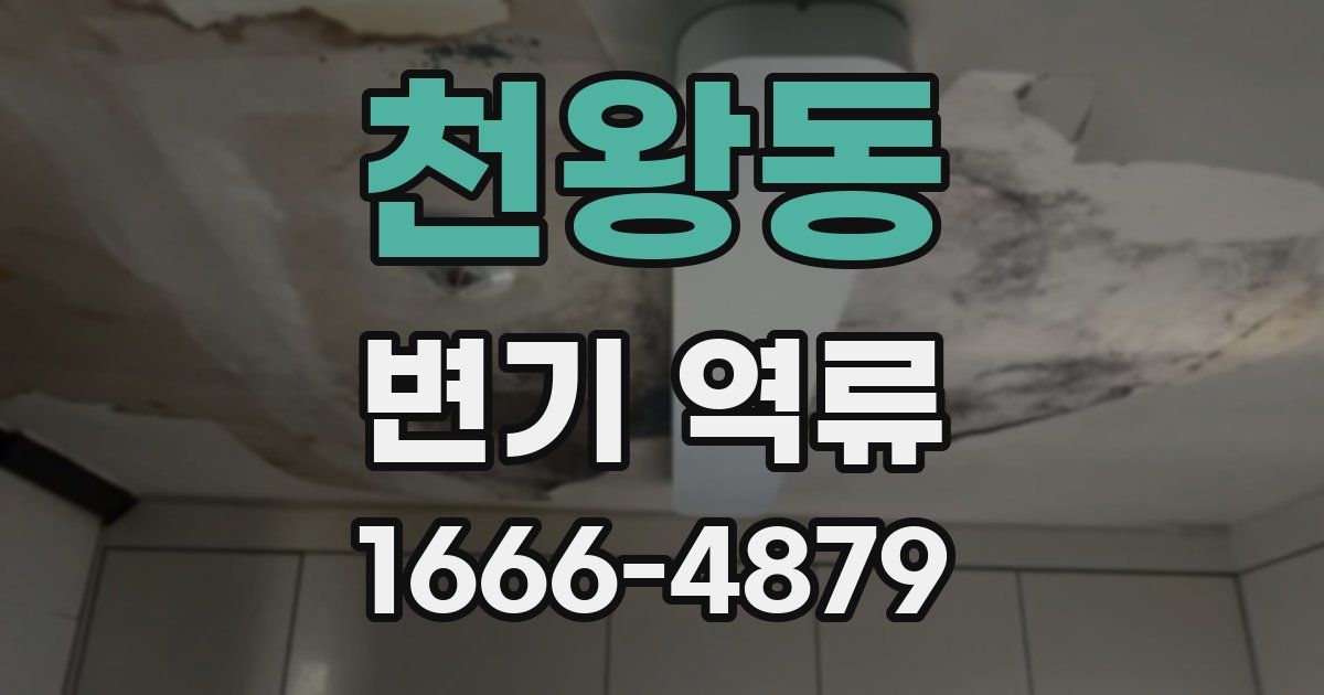 천왕동 변기 역류