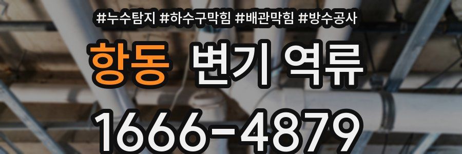 항동 변기 역류