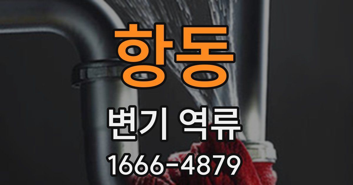 항동 변기 역류