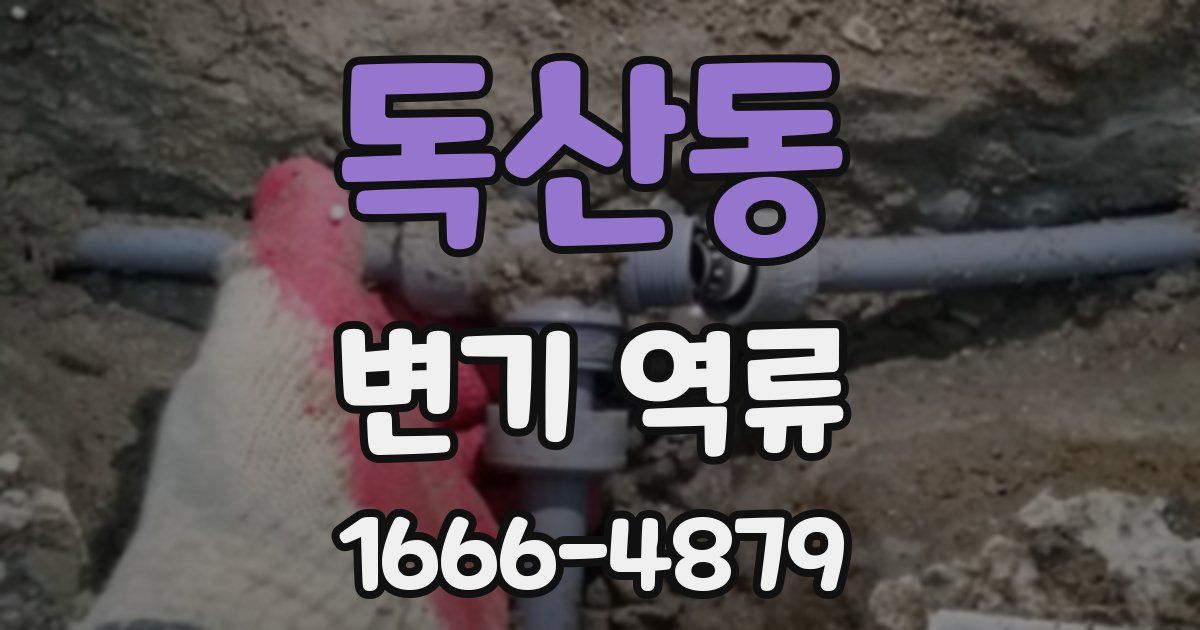 독산동 변기 역류