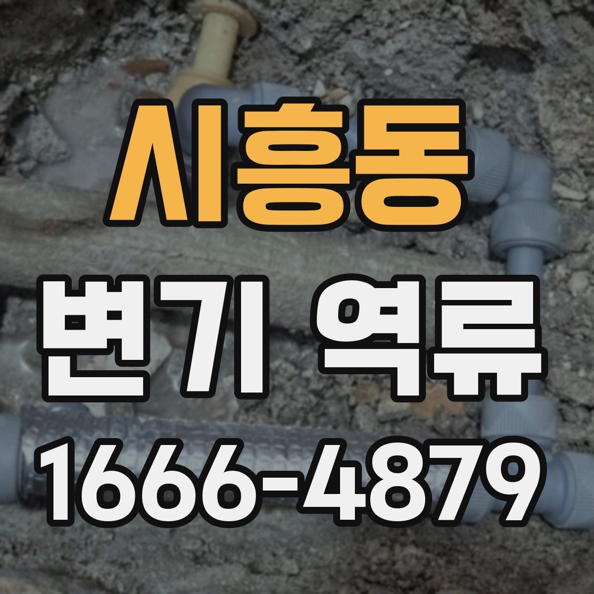 시흥동 변기 역류