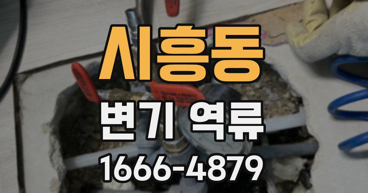 시흥동 변기 역류