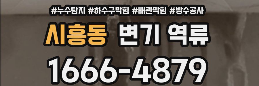 시흥동 변기 역류