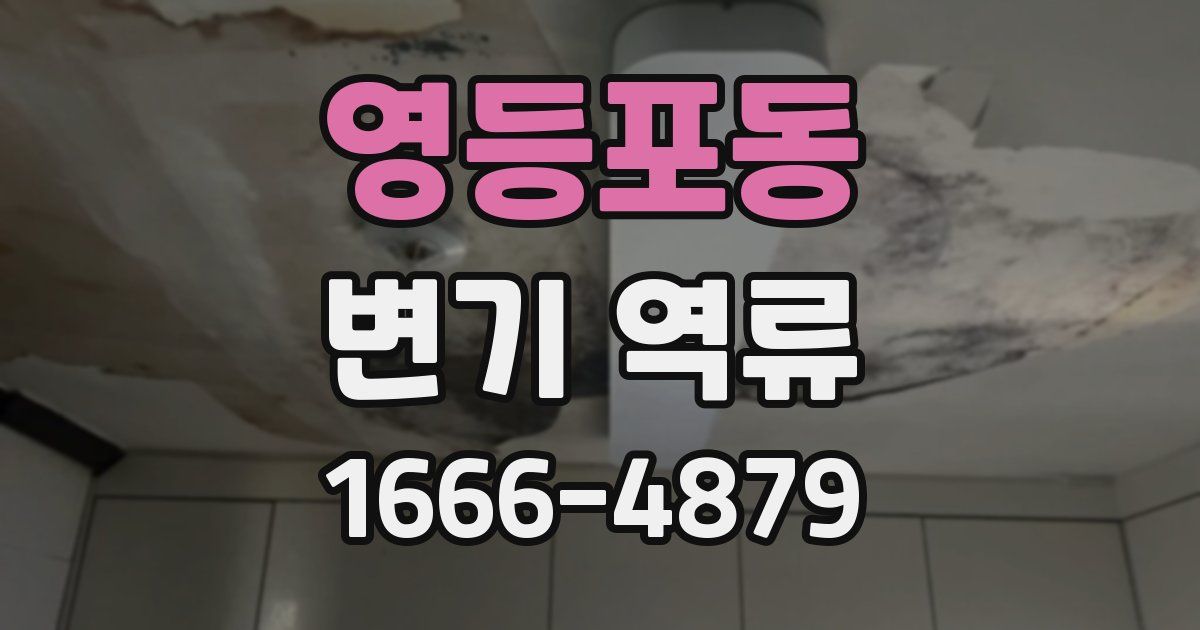 영등포동 변기 역류