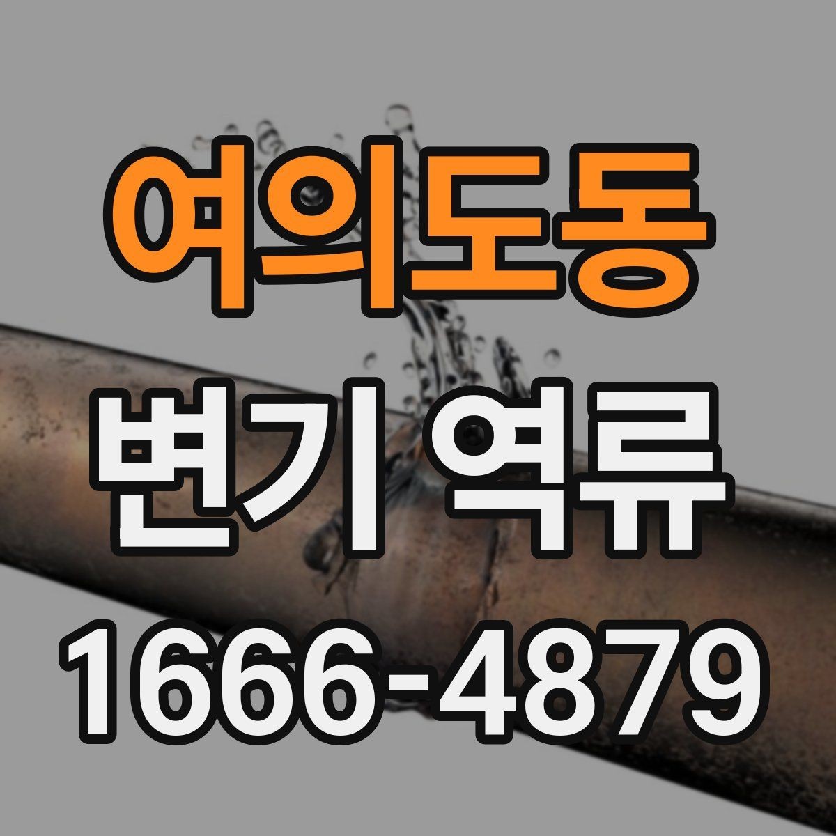 여의도동 변기 역류 상황에서 전문가가 보는 부분