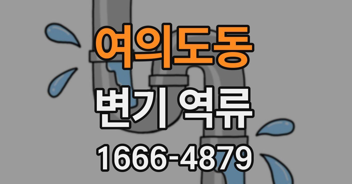 여의도동 변기 역류
