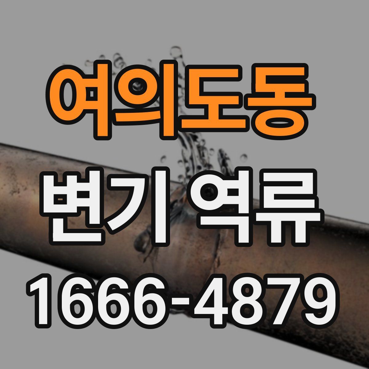 여의도동 변기 역류
