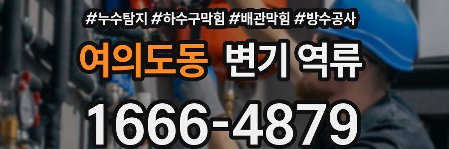 여의도동 변기 역류